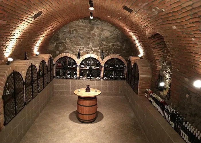 Hotel Ryšavý Vémyslice
